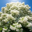 풍요로운 기다림 이미지