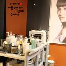 필스텔라