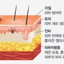석촌동물병원 이미지
