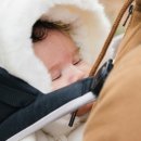 중앙카시트 이미지