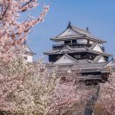 프린스대중목욕탕 | 마쓰야마 여행 완벽 가이드: 온천과 성이 있는 매력적인 도시