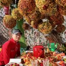 거창창포원 국화축제 이미지