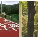 대차경로당 이미지