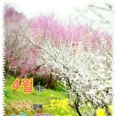 초석공인중개사사무소 이미지