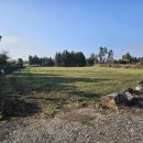 상창리-2 이미지