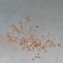 김포한강3로 이미지