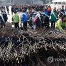 호남대추유통