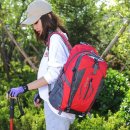 엠에스엠 이미지