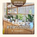 외동반림로-2 | 창원 가로수길 24시간 픽업 가능한 꽃피우리 방문후기