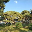 운봉읍 삼산마을 이미지