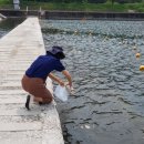 운문댐하류보1 이미지