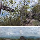 제948회차 10/14 울산 천황산(1,189 m) 및 밀양제약산(1,119 m)예약 신청 이미지