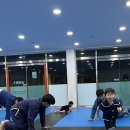 델타주짓수