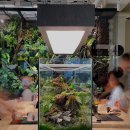 비바리움J | [카페 그린포레스트] 청계산 비바리움 카페 풀멍가능 (feat. 퐁당닷컴)