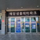 경남 진해 창원 아이랑 가볼 만한 곳 여행 코스 해양생물테마파크 솔직 후기