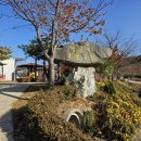 쌍둥농장 | 강릉 아이와가볼만한곳, 쌍둥이 동물농장