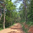 알미목장 이미지