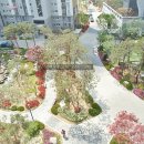 금하공인중개사사무소 이미지