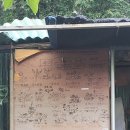 도시농업전문가 과정(80시간) | 도시농업관리사 취득후기