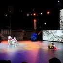 안성남사당공연장 이미지