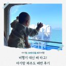 실버클라우드 | 제주여행] 7개월 아기와 완도→제주 배편(실버클라우드) 이용 후기 🚢 14박 15일 제주 보름살기 & 감성...