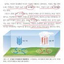 중학교 암기과목 사회 과학 역사 전교 1등 공부법 쪽지시험 만들기