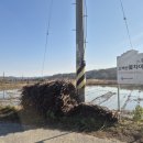 지슬6-17 농로 | [경북 영주] 여행, 영주에서 향기를 만나다 소백산꽃차이야기 웰니스 여행