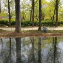 상수리공원 이미지