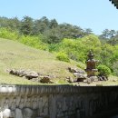 법흥사석분 | 영월 법흥사 석분(寧越 法興寺 石墳).강원