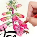 소묘/수채화(야간) 이미지