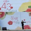 흥산초등학교 | 4.3 희생자 추념식 및 문화제 공연 후기.2023.제주4.3평화공원.제주도 행사 리뷰.