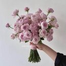 찰떡쿵떡 | 부케 준비하기 ‘르틸다 플뢰르’- 숨고로 가성비 부케준비 후기 Le tilda Fleur / 여름부케 추천 ♡