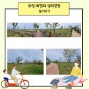 평화의 탁자 이미지