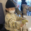 리프패럿구미점 | 구미 산동 아이랑 모녀데이트 앵무새카페 앵무새분양 “리프패럿 구미점”