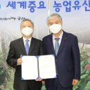 금산인삼약초