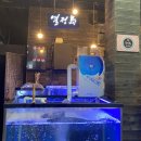싱싱魚 이미지