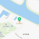 살구쟁이들 이미지