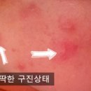 주식회사 피오니 이미지