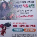 한석농장 네이버블로그
