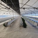 원이네농장 이미지