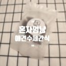 혼자멍냥 네이버블로그
