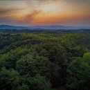 신세대빌리지 이미지