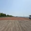 솔찬공원 이미지