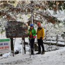 도심건강길 2길 이미지