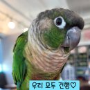 수완볼링장