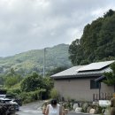 잔원유림 이미지