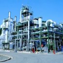 제주카프로 이미지