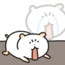 플럼호텔 이미지