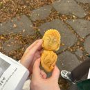 웃게해줄개 이미지