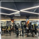 라이프위드짐 이미지